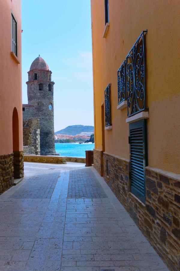 Studio vue mer et Cap Canet-en-Roussillon Eksteriør billede